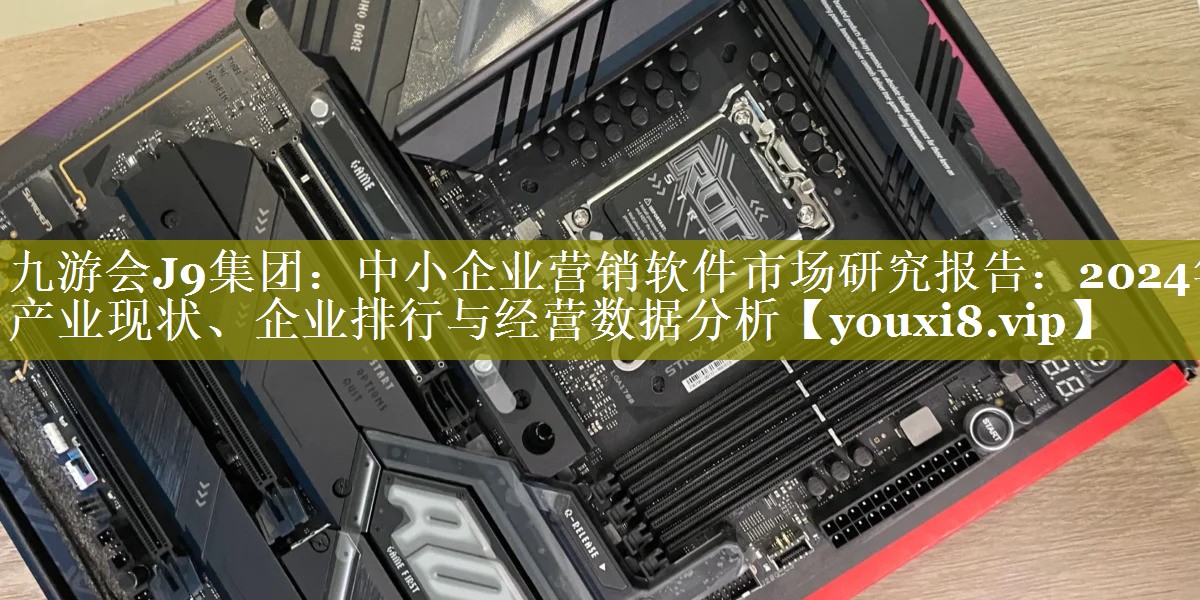 中小企业营销软​​件市场研究报告：2024年产业现状、企业排行与经营数据分析