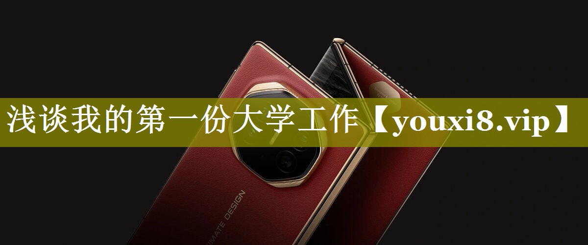 浅谈我的第一份大学工作