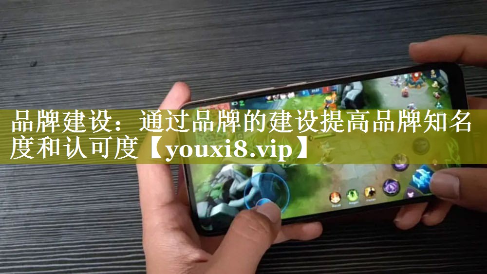 品牌建设：通过品牌的建设提高品牌知名度和认可度