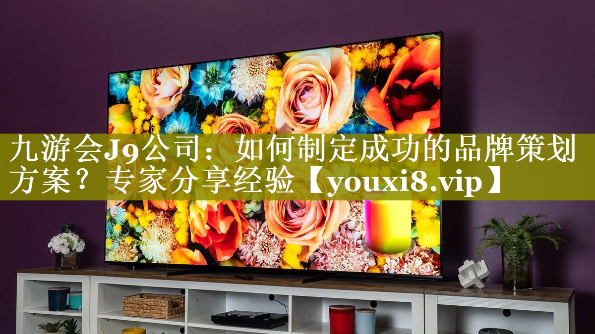 如何制定成功的品牌策划方案？专家分享经验