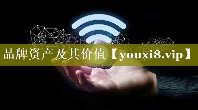 品牌资产及其价值
