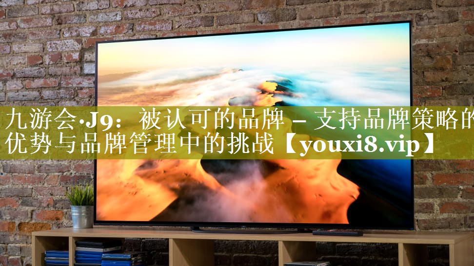 被认可的品牌 – 支持品牌策略的优势与品牌管理中的挑战