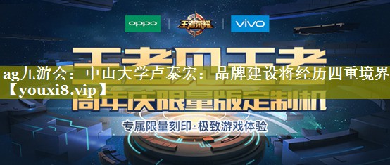 中山大学卢泰宏：品牌建设将经历四重境界