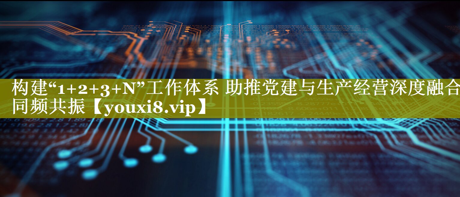 构建“1+2+3+N”工作体系 助推党建与生产经营深度融合同频共振