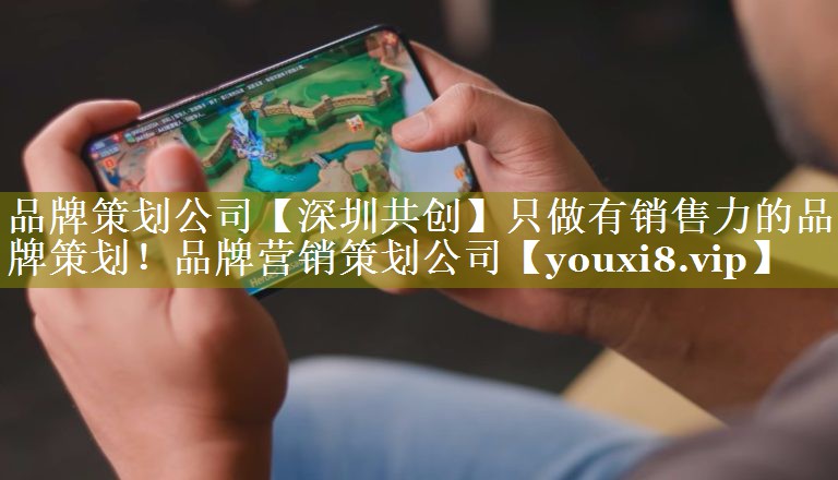 品牌策划公司【深圳共创】只做有销售力的品牌策划！品牌营销策划公司