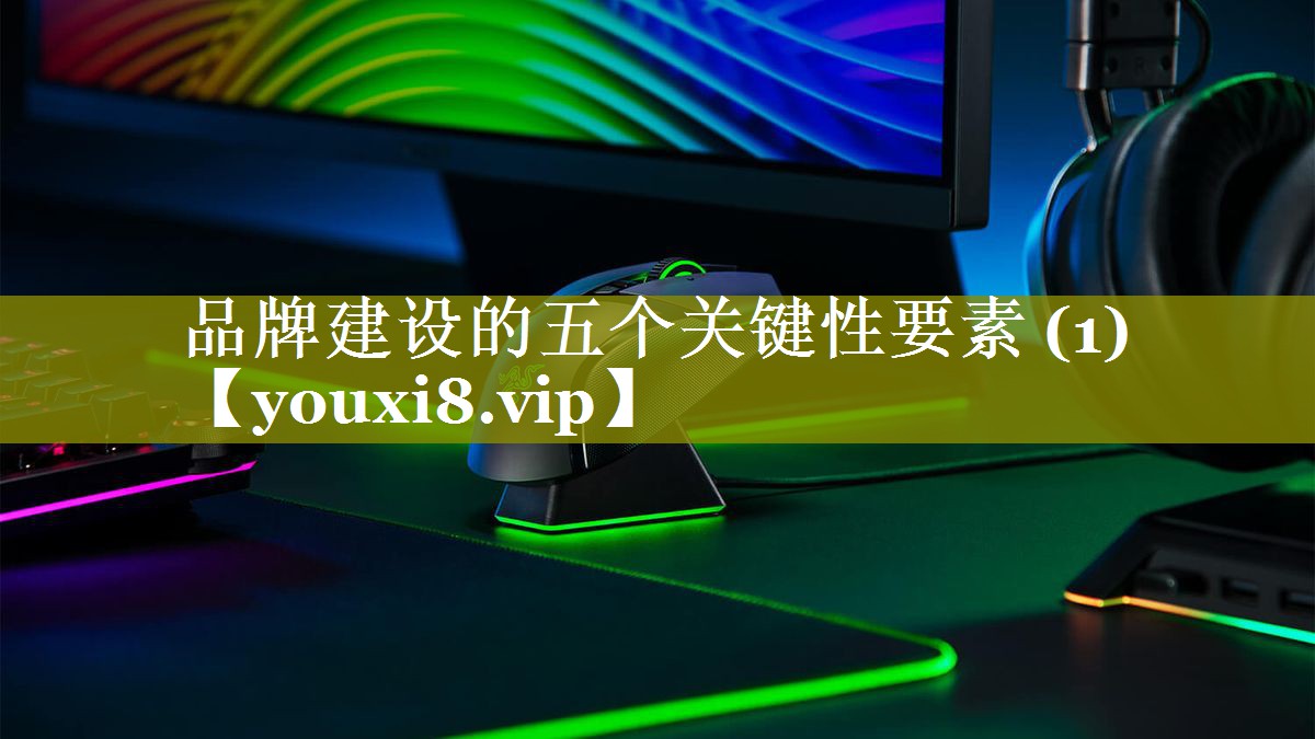 品牌建设的五个关键性要素 (1)