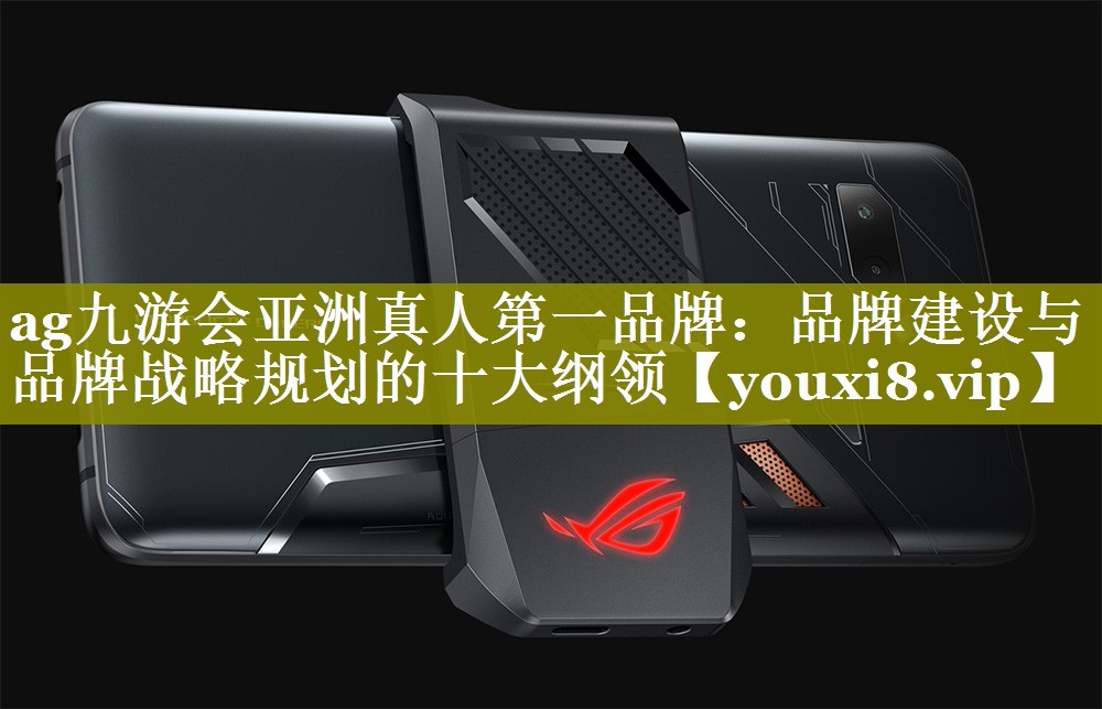 品牌建设与品牌战略规划的十大纲领