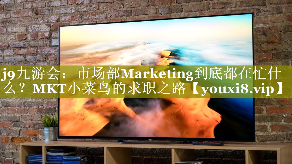 市场部Marketing到底都在忙什么？MKT小菜鸟的求职之路